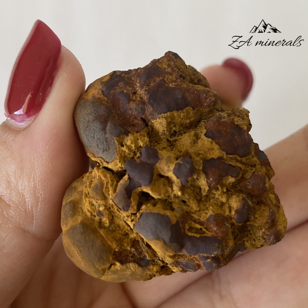 Coprolite 0.069kg IV7