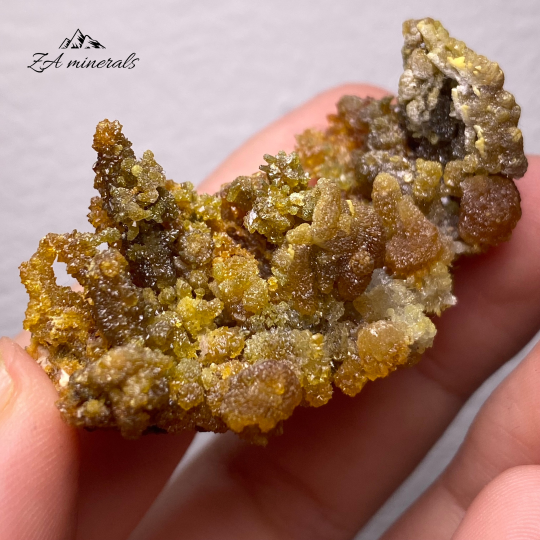 アイルランド　北アイルランド　SPECIMEN アイルランド北アイルランドSPECIMEN