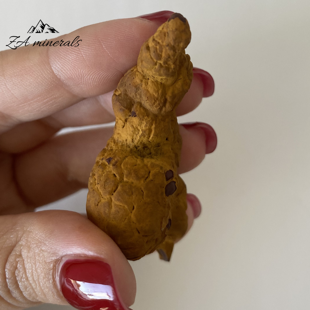 Coprolite 0.031kg IV6