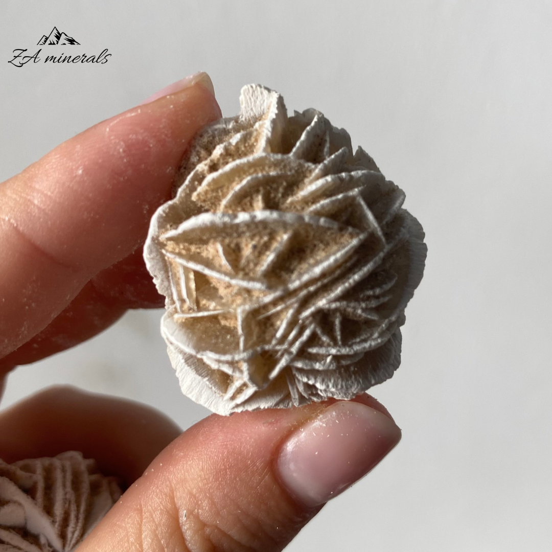 Two (2) Rosettes of Desert Rose. The gypsum crystals grow in a flattened, plate-like structure that radiates out from a central point, creating a shape that resembles a rose blossom. Beautiful white edges due to heat treatment. Some of the blades are vitreous while most are matte. Sand grains are visible all over the piece.