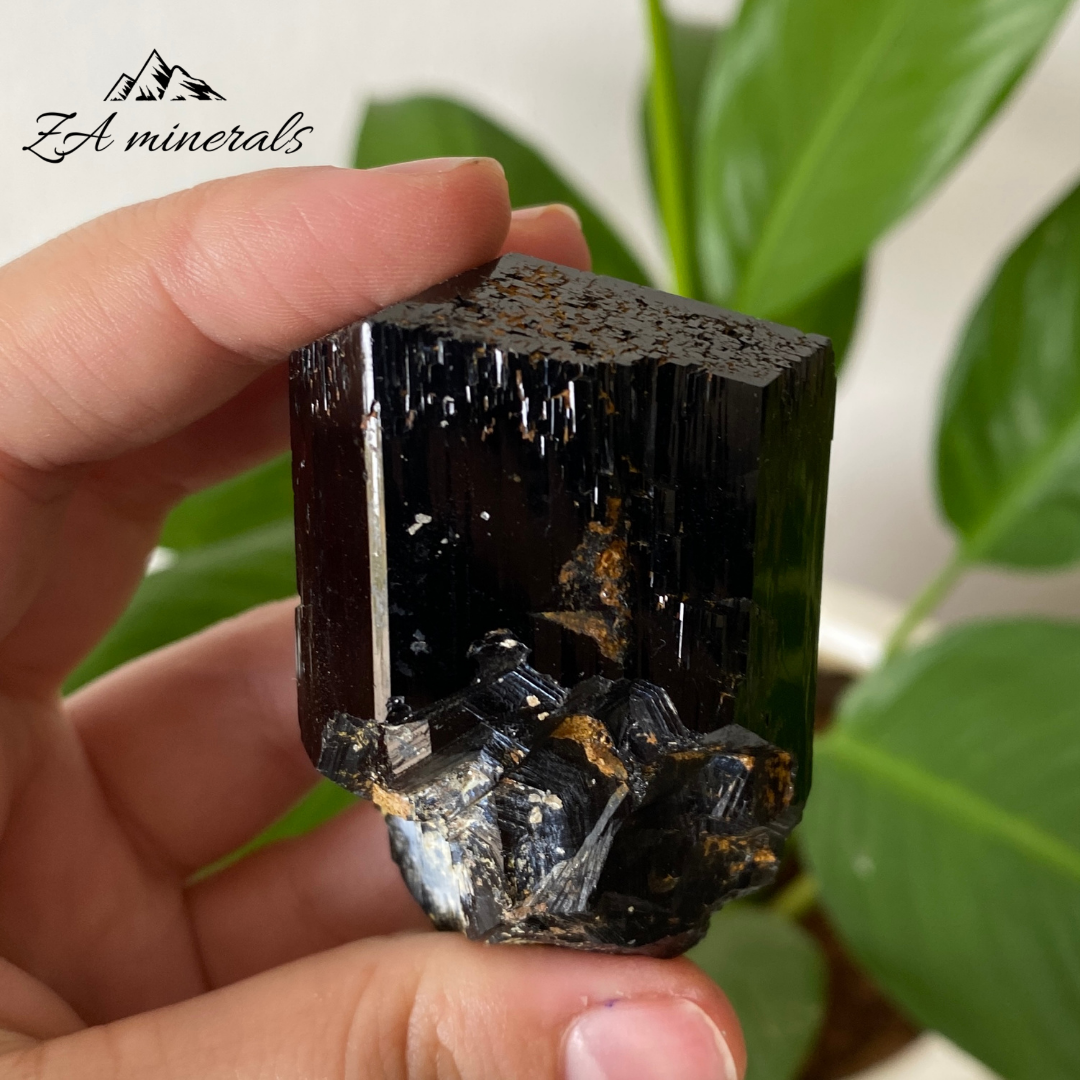 Black Tourmaline 0.136kg IC21