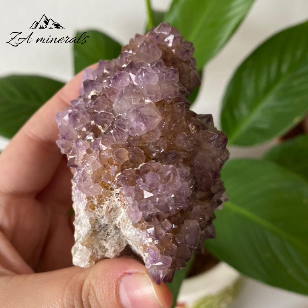 Amethyst Cactus Quartz 270g IC22