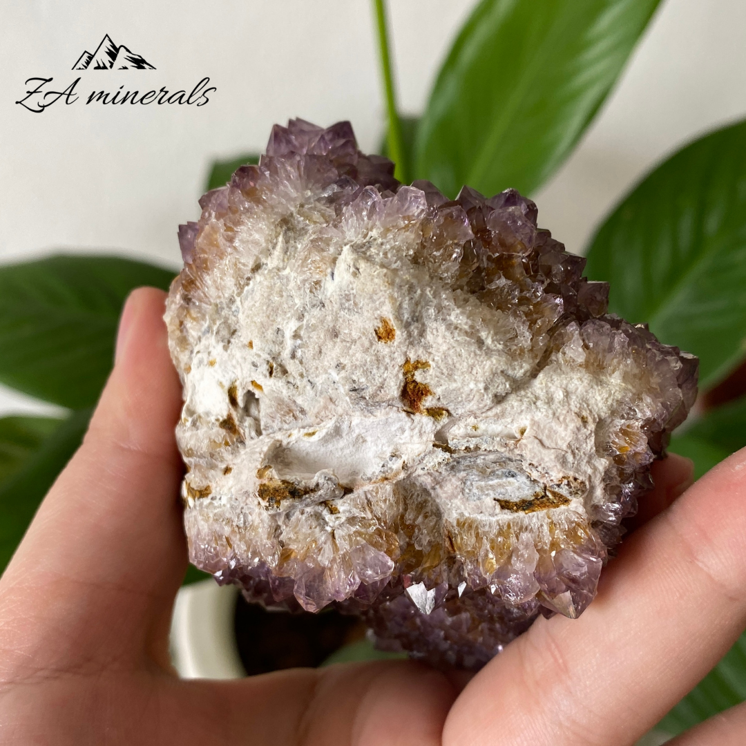 Amethyst Cactus Quartz 249g IC24