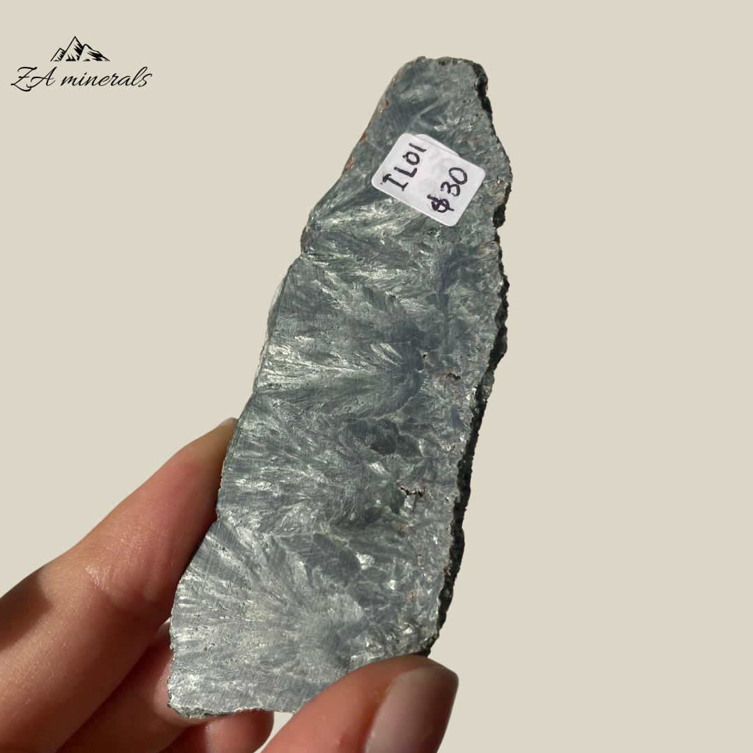 A variety of Clinochlore with a radiating/plumose structure. Gorgeous deep to light toned Greens. Shimmering silvery-white feather-like inclusions of chatoyant mica fibers. The face of the slice has been resined. The other side is sliced and natural.