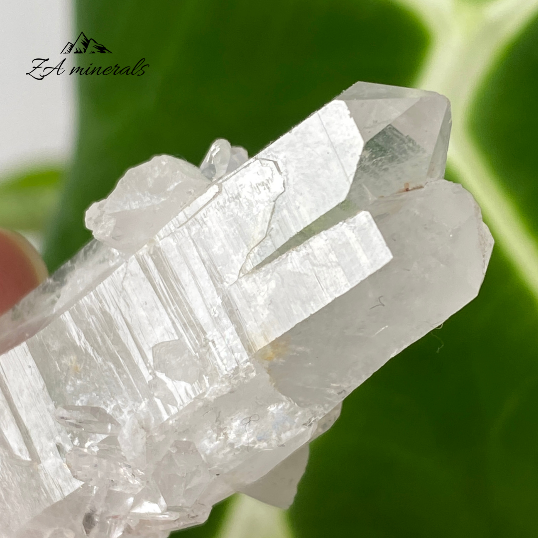 Lemurian Quartz DT 30g HW17