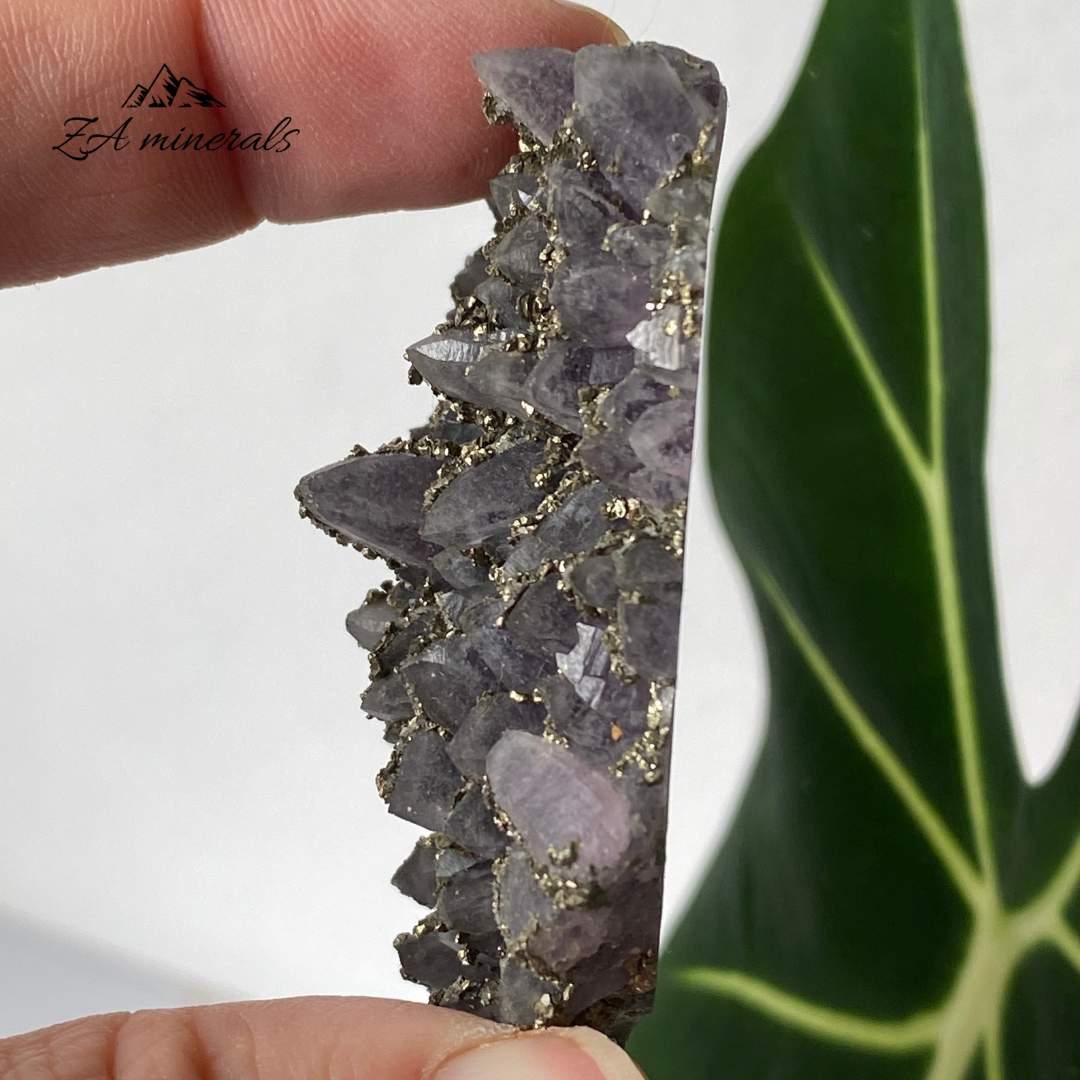 Amethyst Pyrite 50g HW18
