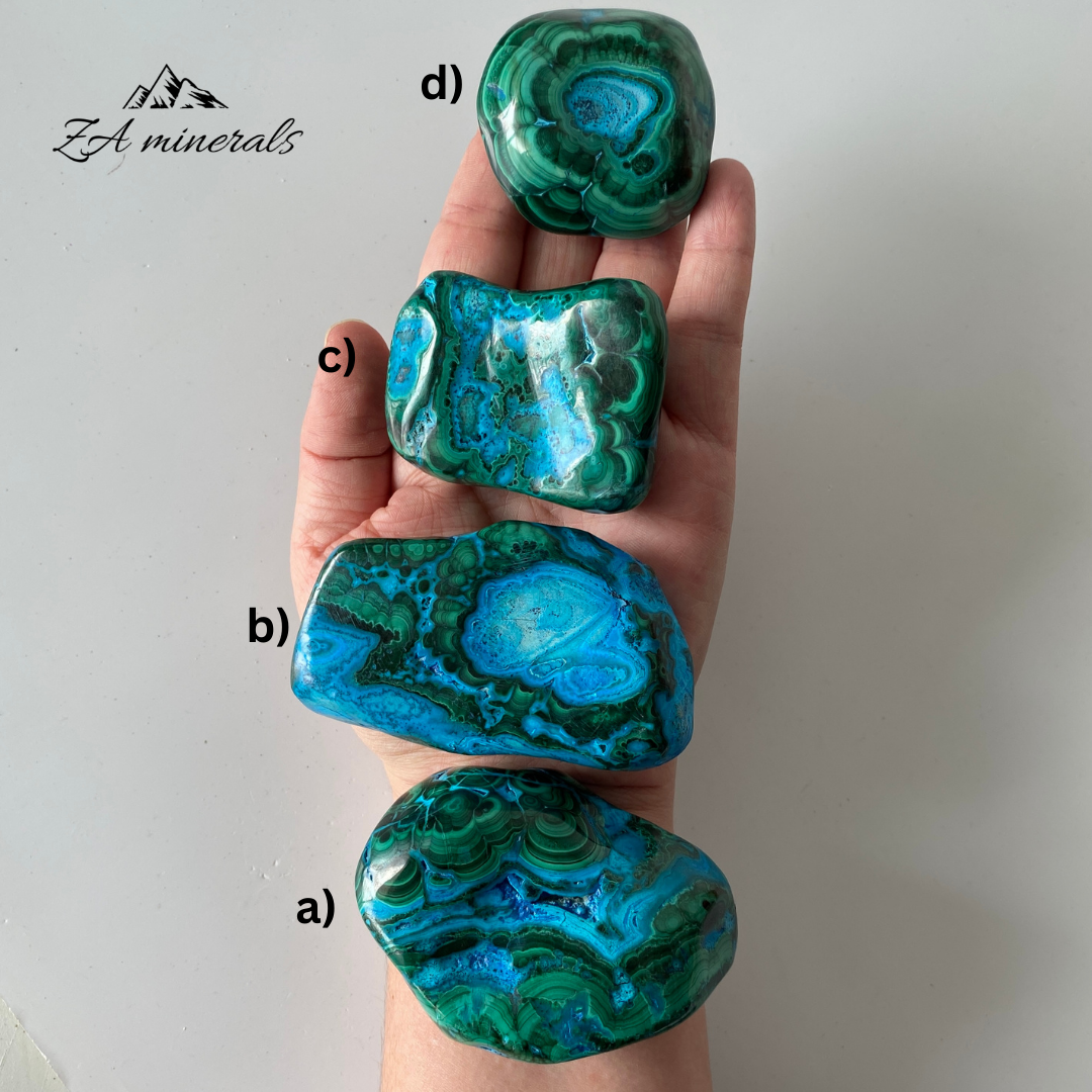 Malacola Freeform HW12