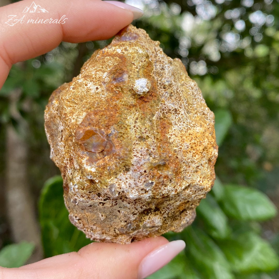 Pink Chalcedony 67g (HX23)