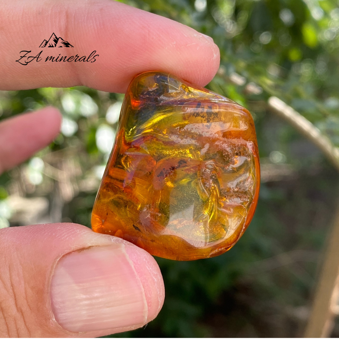 Baltic Amber 10g HZ19