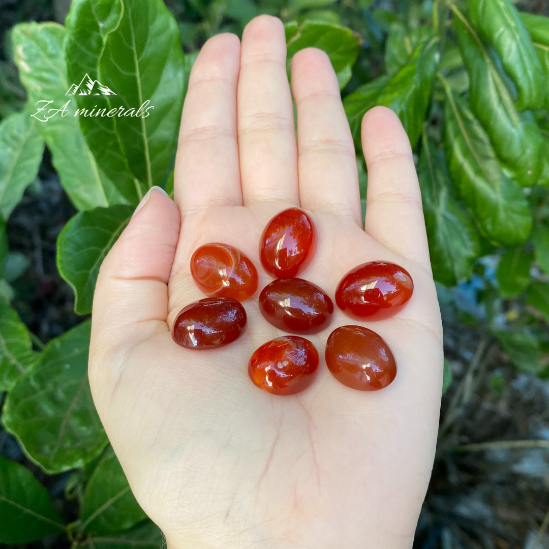 Carnelian Cabochon Set 31g HZ01