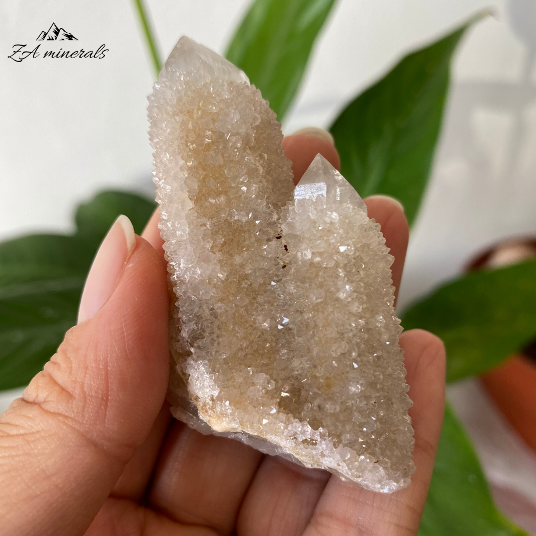 Cuarzo Cactus Blanco 52g IG05