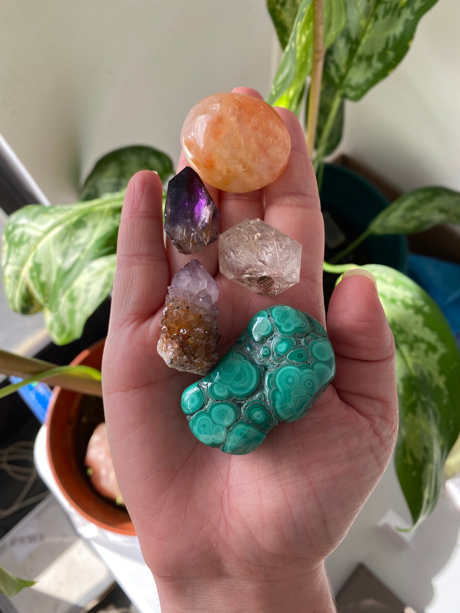 A handful of crystals hovering above green plants in an office. Green Malachite, Clear Quartz, Cactus Quartz, Shangaan Amethyst, Golden Healer.