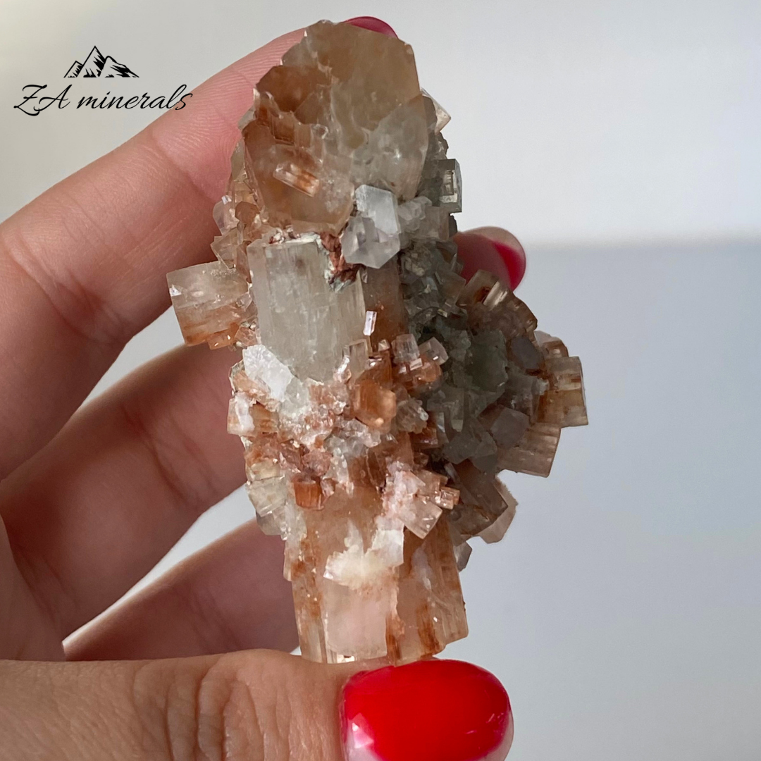 'Golden Healer' Cuarzo Cactus Blanco 60g IB19