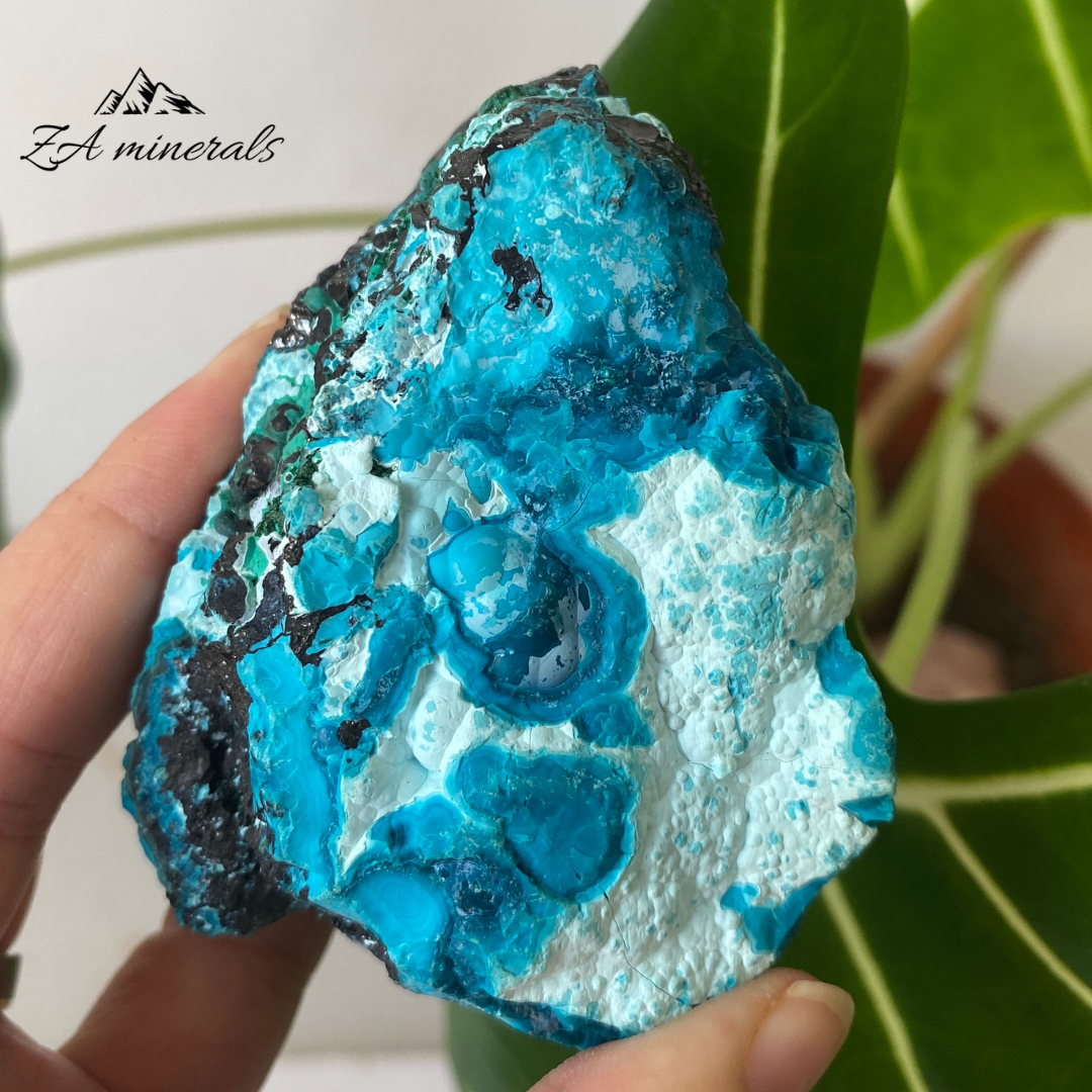 Heterogenite Chrysocolla 262g IA11
