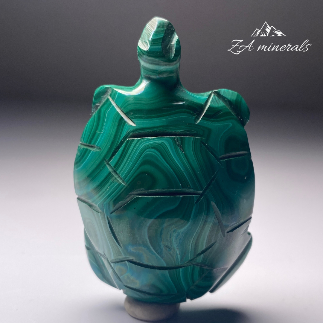 Malachite Turtle HT15