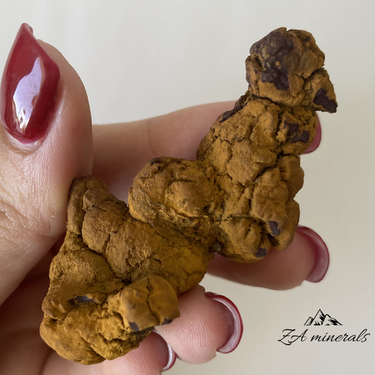 Coprolite 0.030kg IV8