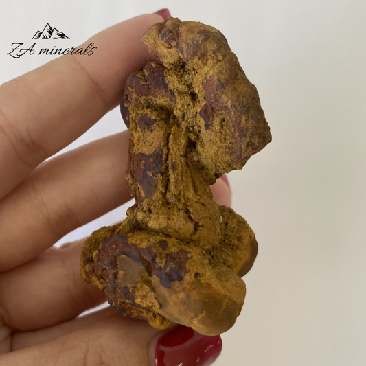 Coprolite 0.069kg IV7