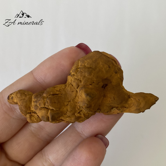 Coprolite 0.031kg IV6