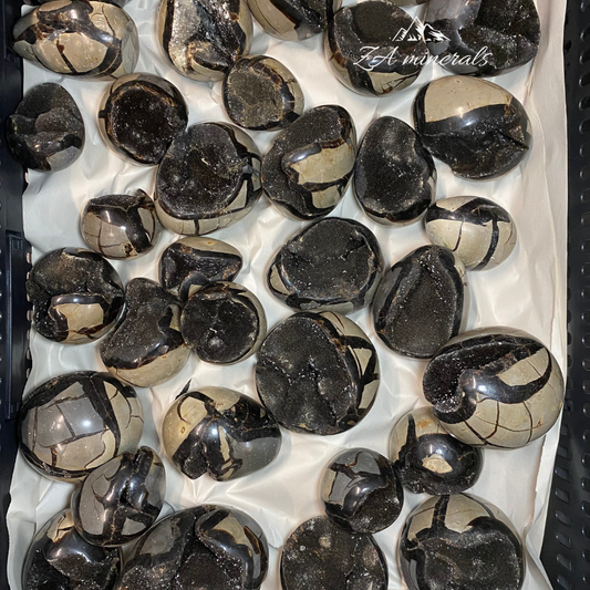 Polished Dragon Septarian Eggs / Spheres 1kg