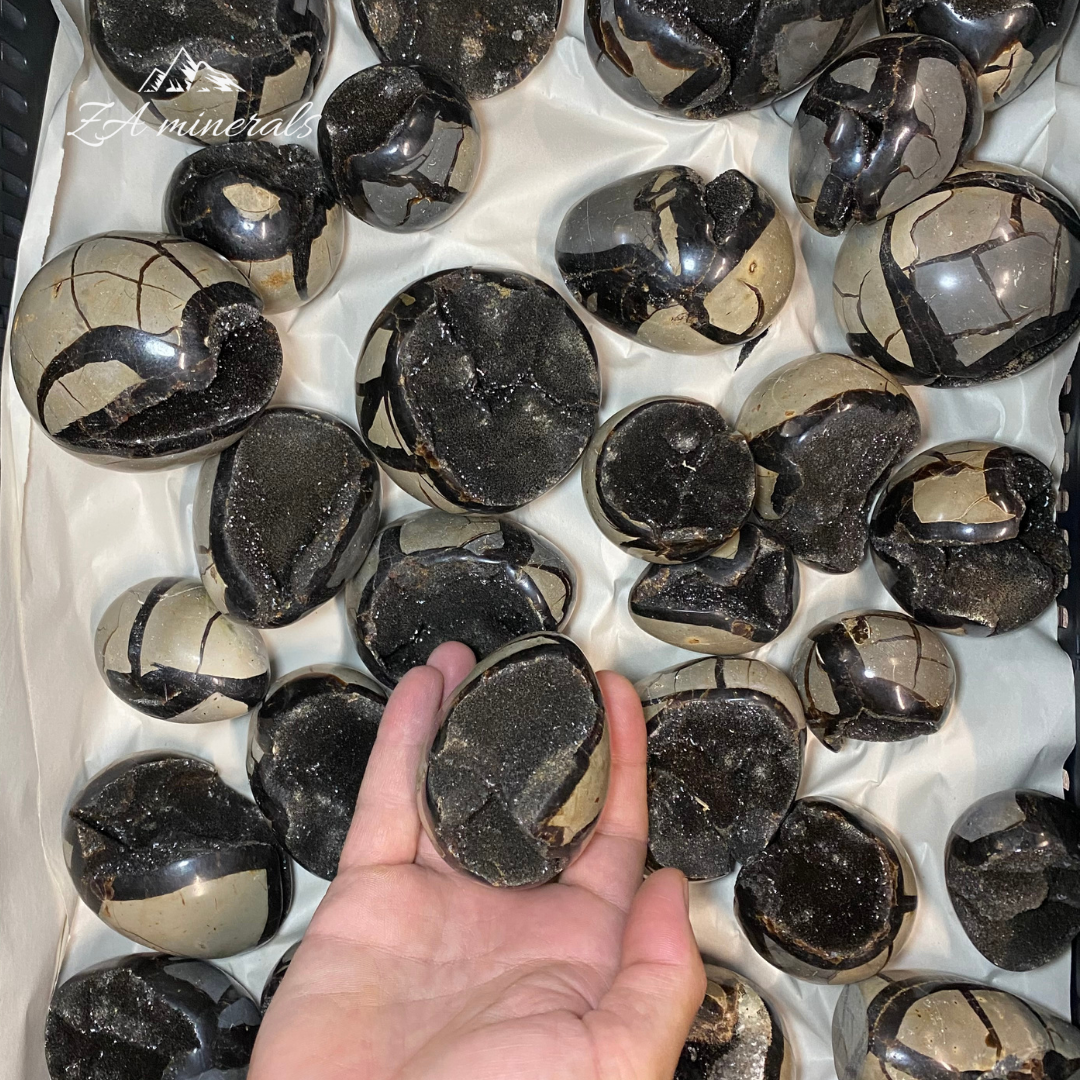 Polished Dragon Septarian Eggs / Spheres 1kg