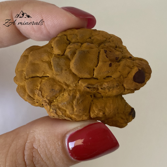 Coprolite 0.050kg IV5