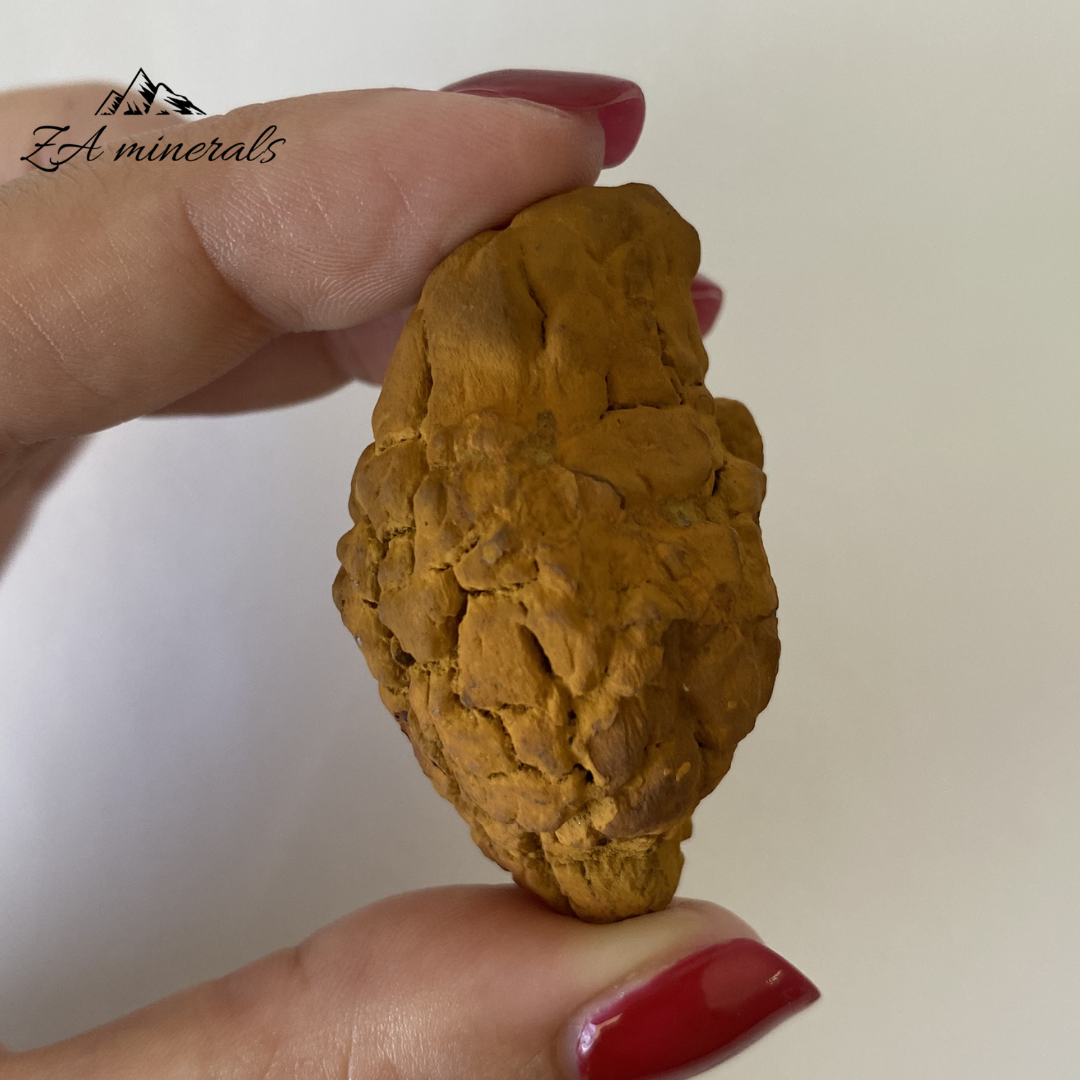 Coprolite 0.050kg IV5