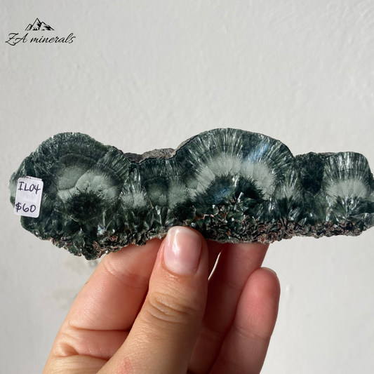 A variety of Clinochlore with a radiating/plumose structure. Gorgeous deep to light toned Greens. Shimmering silvery-white feather-like inclusions of chatoyant mica fibers. The face of the slice has been resined.  The other side is sliced and natural.
