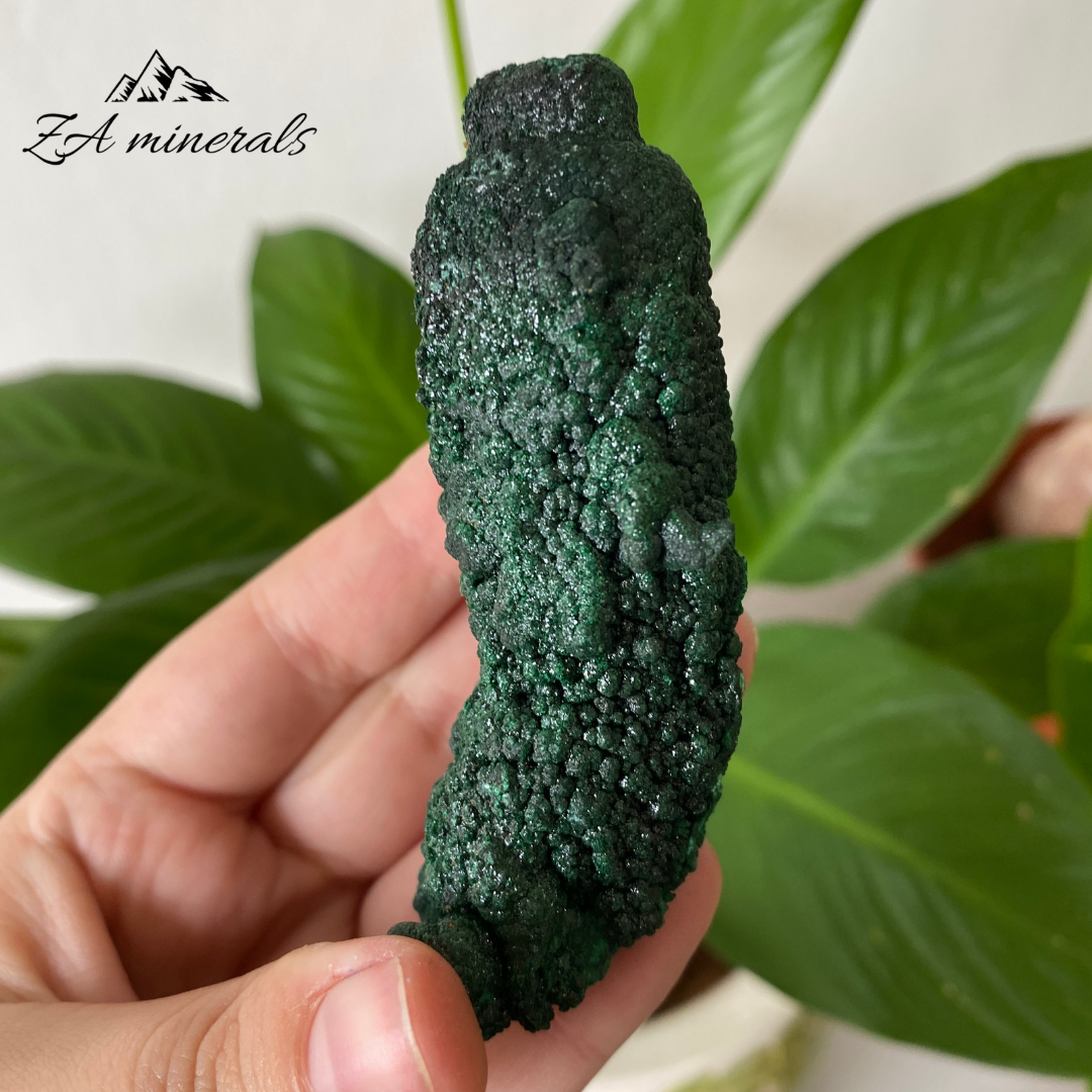 Malachite Stalactite 119g IC17