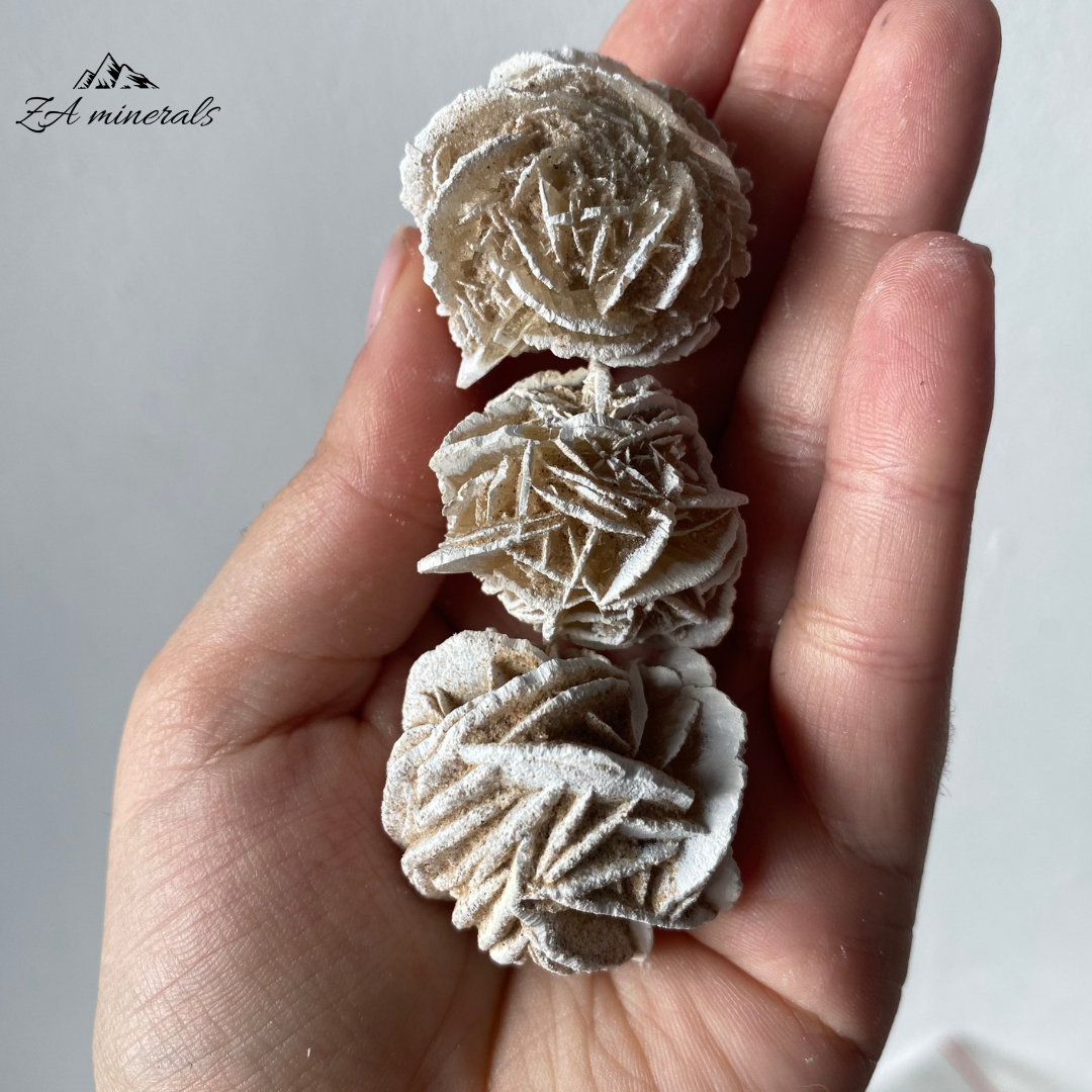 Three (3) Rosettes of Desert Rose. The gypsum crystals grow in a flattened, plate-like structure that radiates out from a central point, creating a shape that resembles a rose blossom.  Beautiful white edges due to heat treatment. Some of the blades are vitreous while most are matte. Sand grains are visible all over the piece.