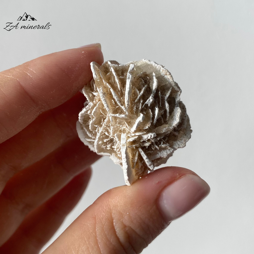 Three (3) Rosettes of Desert Rose. The gypsum crystals grow in a flattened, plate-like structure that radiates out from a central point, creating a shape that resembles a rose blossom.  Beautiful white edges due to heat treatment. Some of the blades are vitreous while most are matte. Sand grains are visible all over the piece.