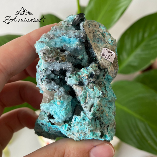 Chrysocolla with Primary Malachite 116g IC13