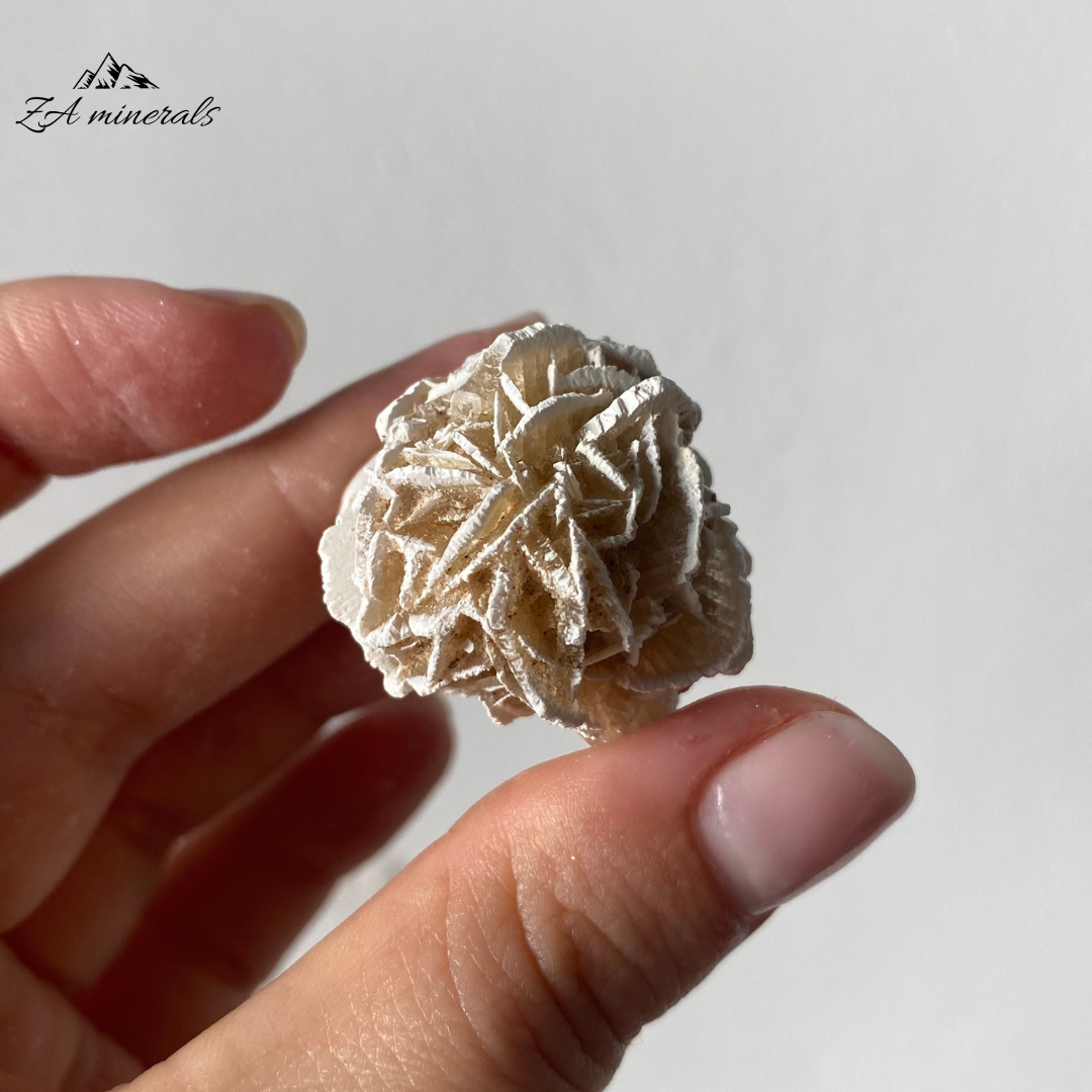 Three (3) Rosettes of Desert Rose. The gypsum crystals grow in a flattened, plate-like structure that radiates out from a central point, creating a shape that resembles a rose blossom.  Beautiful white edges due to heat treatment. Some of the blades are vitreous while most are matte. Sand grains are visible all over the piece.