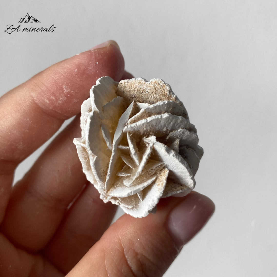 Three (3) Rosettes of Desert Rose. The gypsum crystals grow in a flattened, plate-like structure that radiates out from a central point, creating a shape that resembles a rose blossom.  Beautiful white edges due to heat treatment. Some of the blades are vitreous while most are matte. Sand grains are visible all over the piece.