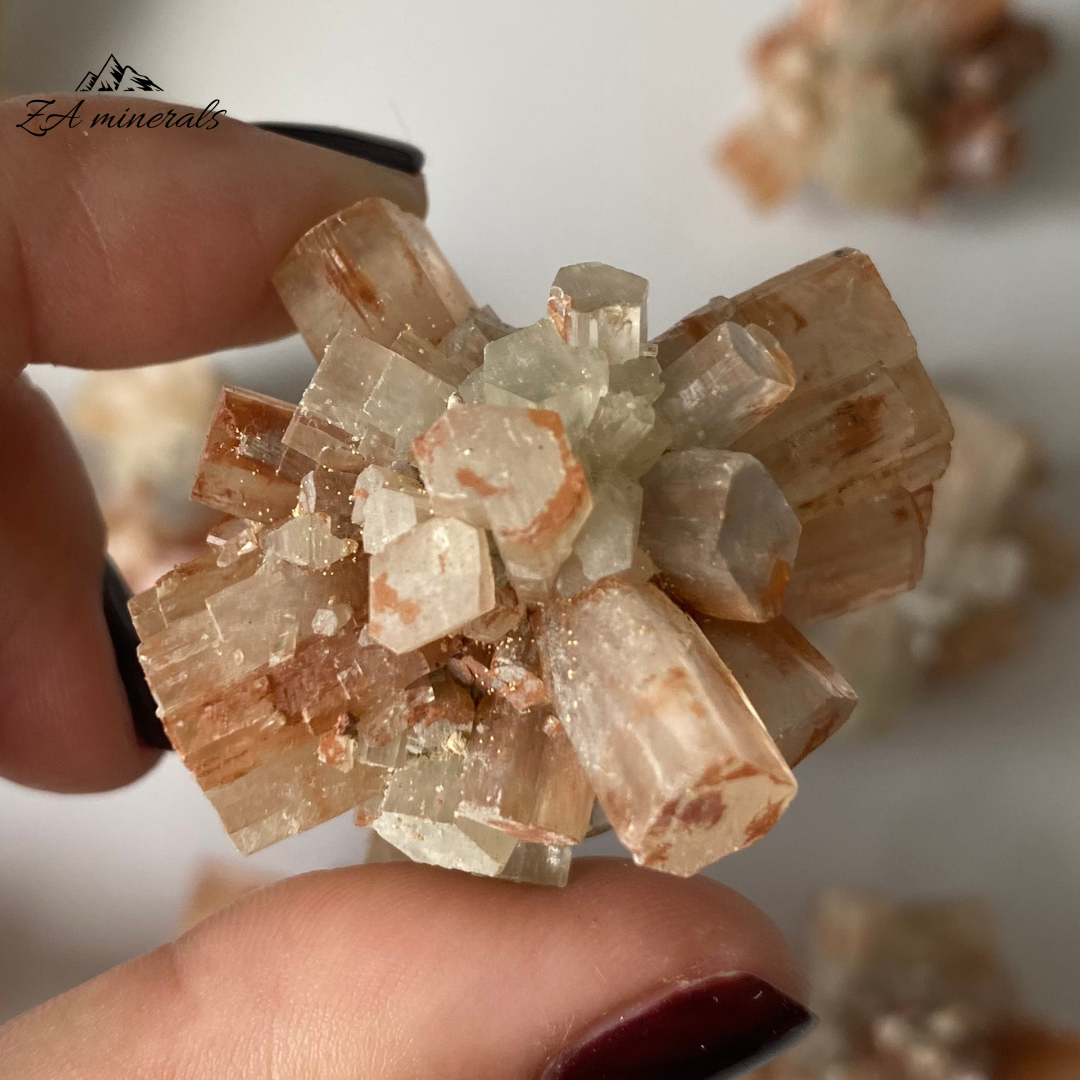 Aragonite (x10) 0.284kg TT14