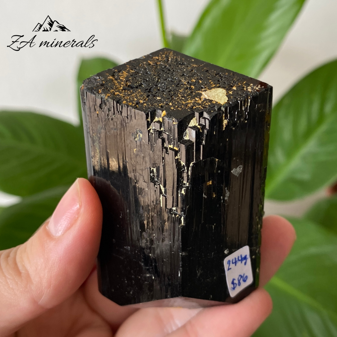 Black Tourmaline 244g IC19