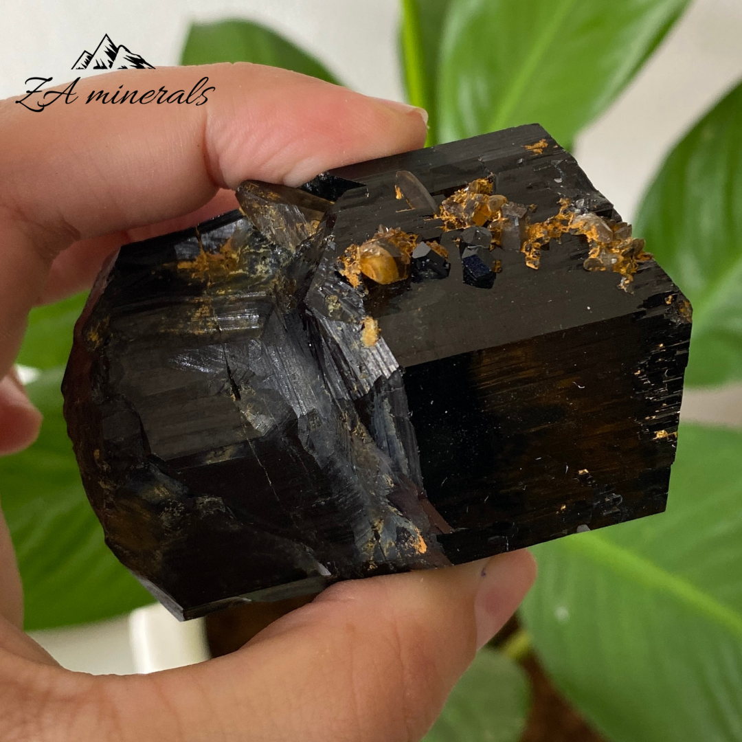 Black Tourmaline 244g IC19