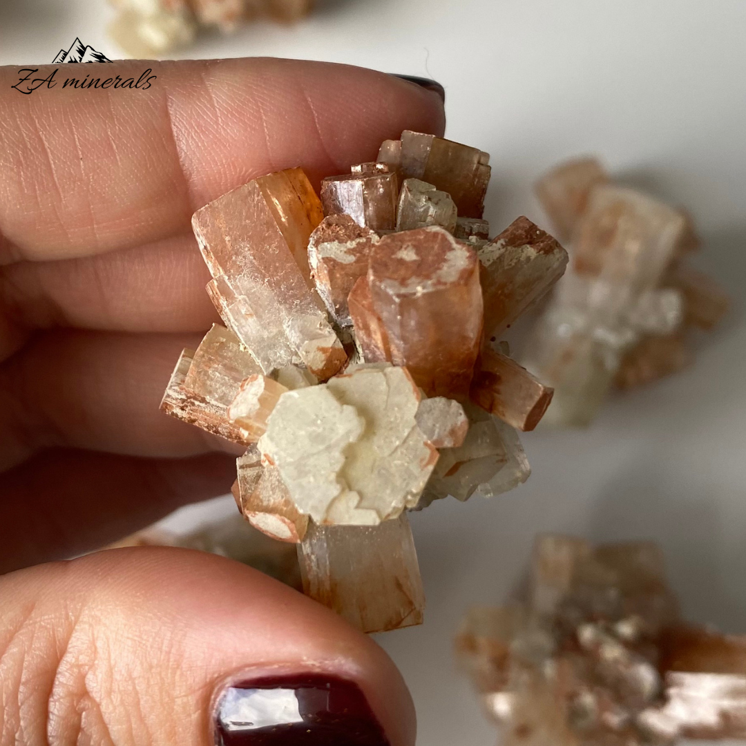Aragonite (x10) 0.284kg TT14