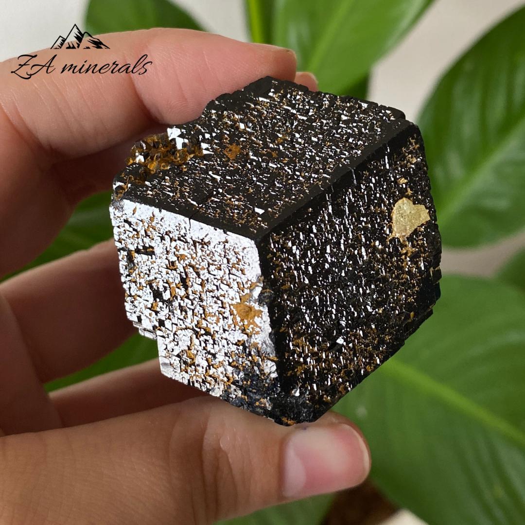 Black Tourmaline 244g IC19