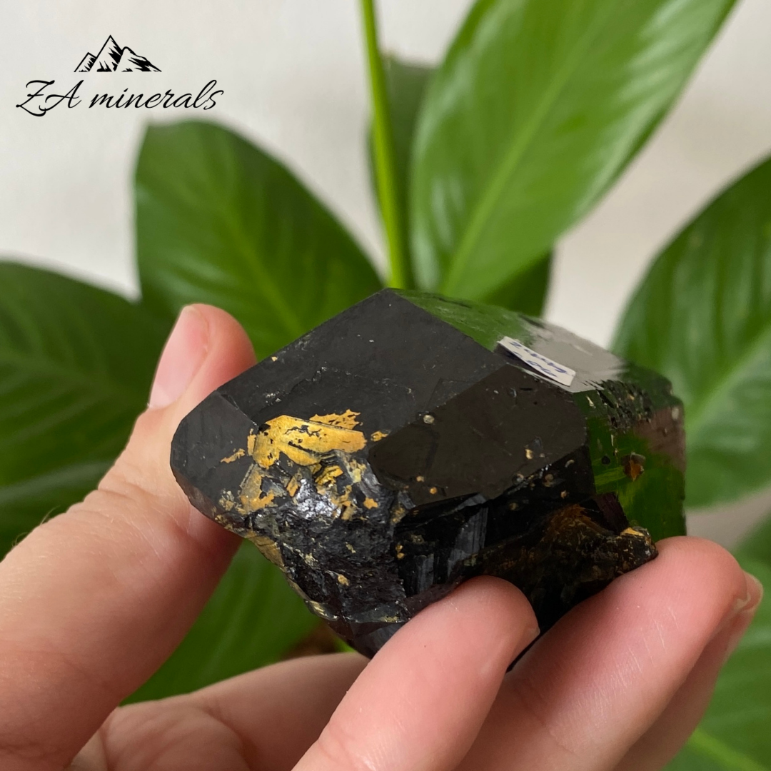 Black Tourmaline 244g IC19