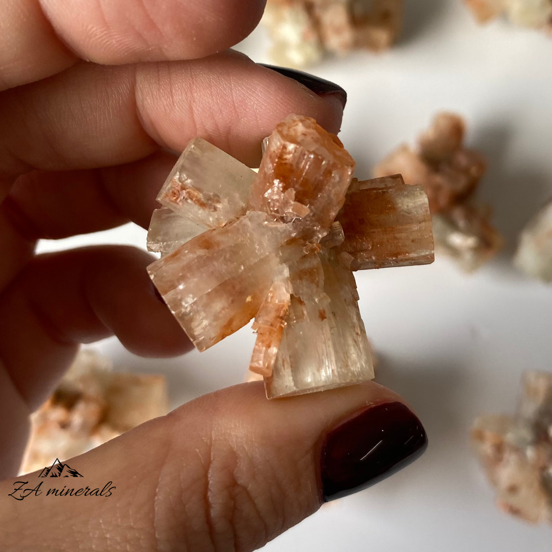 Aragonite (x10) 0.284kg TT14