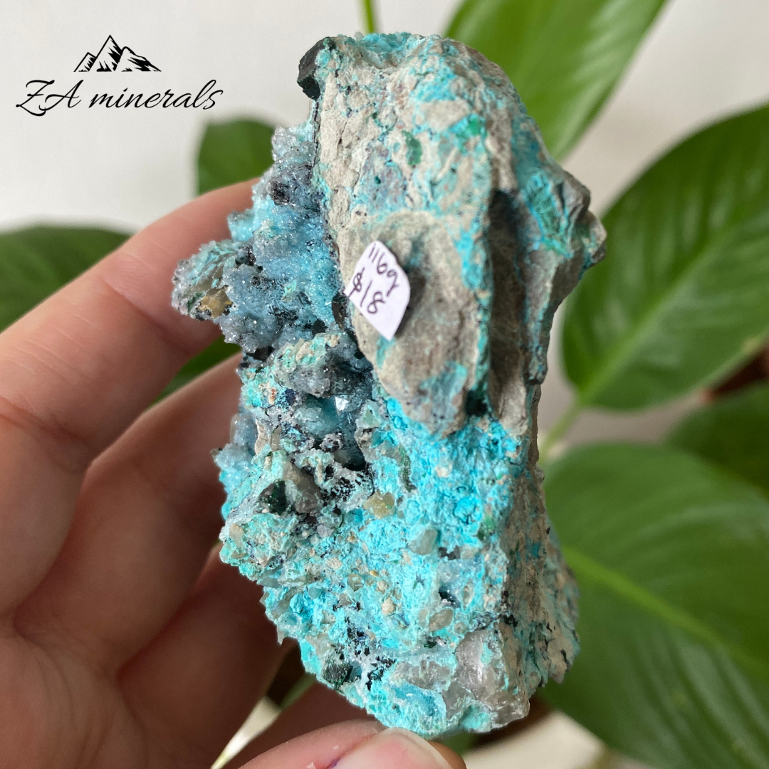 Chrysocolla with Primary Malachite 116g IC13