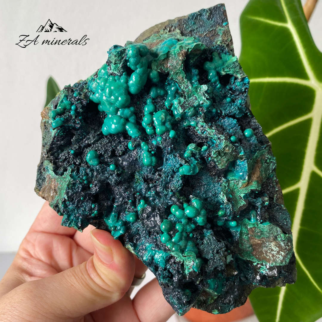 Chrysocolla Malachite 805g HW05