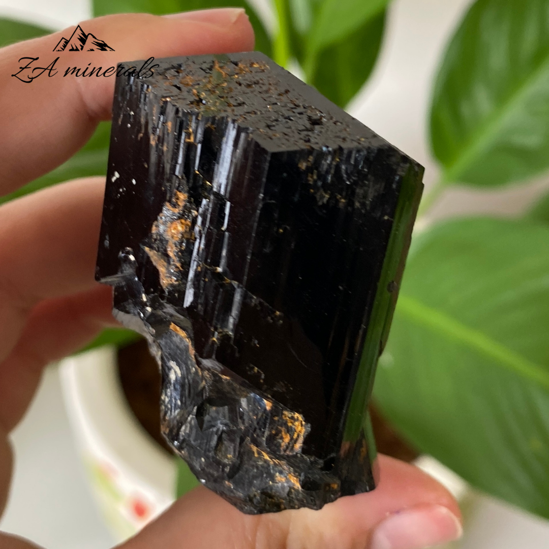 Black Tourmaline 136g IC21