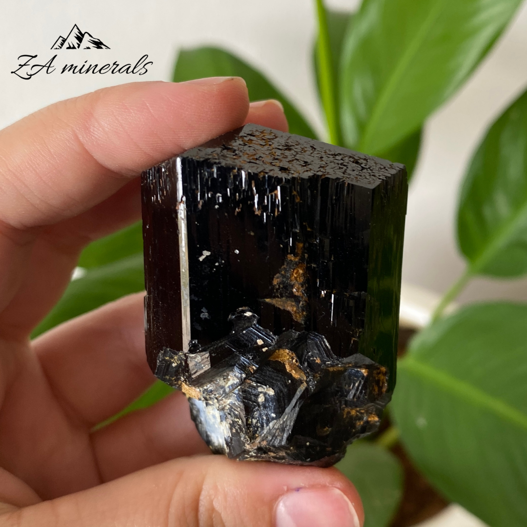 Black Tourmaline 136g IC21