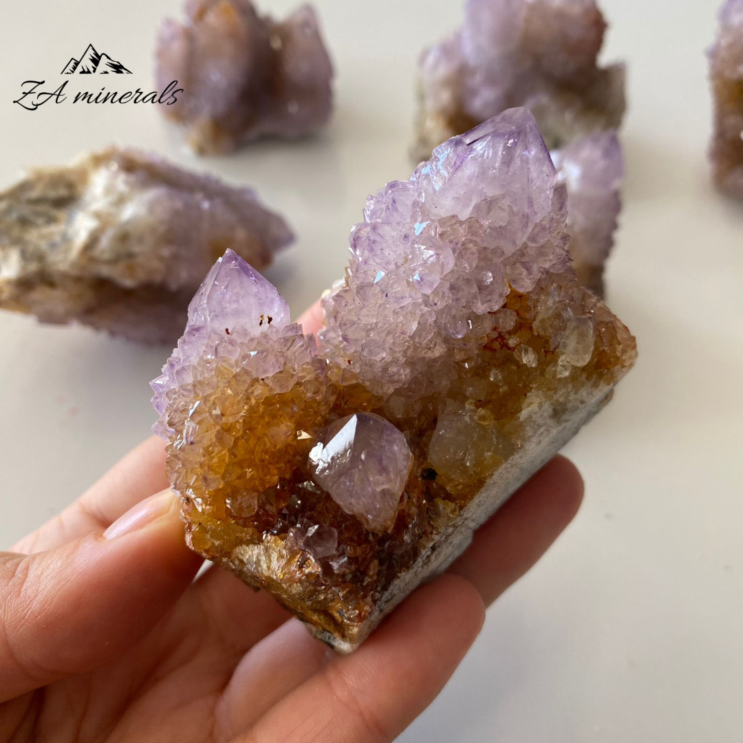 Amethyst Cactus Quartz (x6) 0.876kg