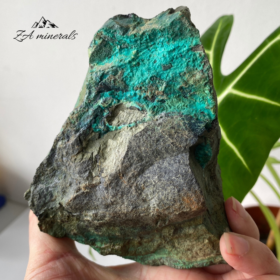 Chrysocolla Malachite 805g HW05