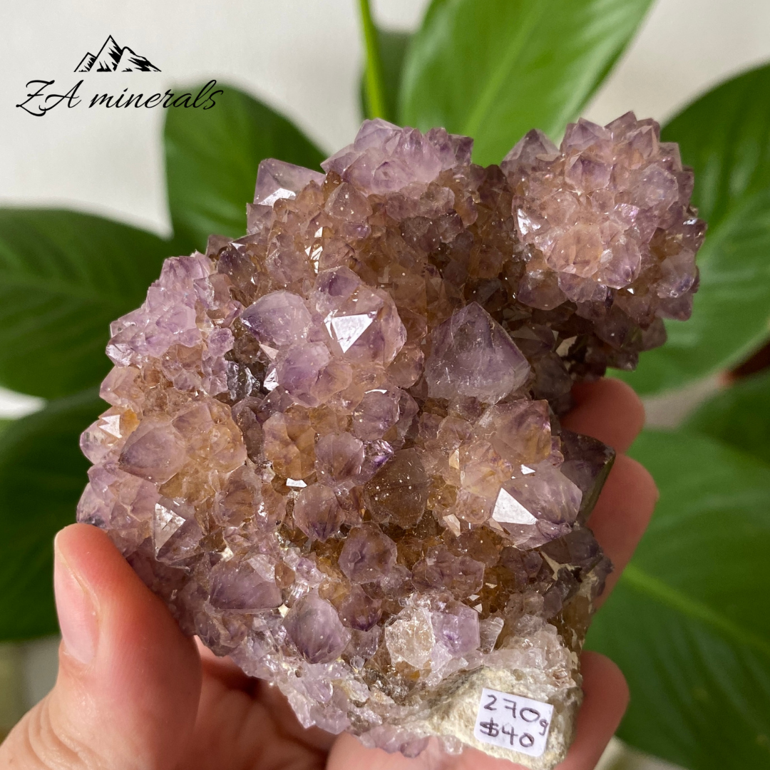 Amethyst Cactus Quartz 270g IC22