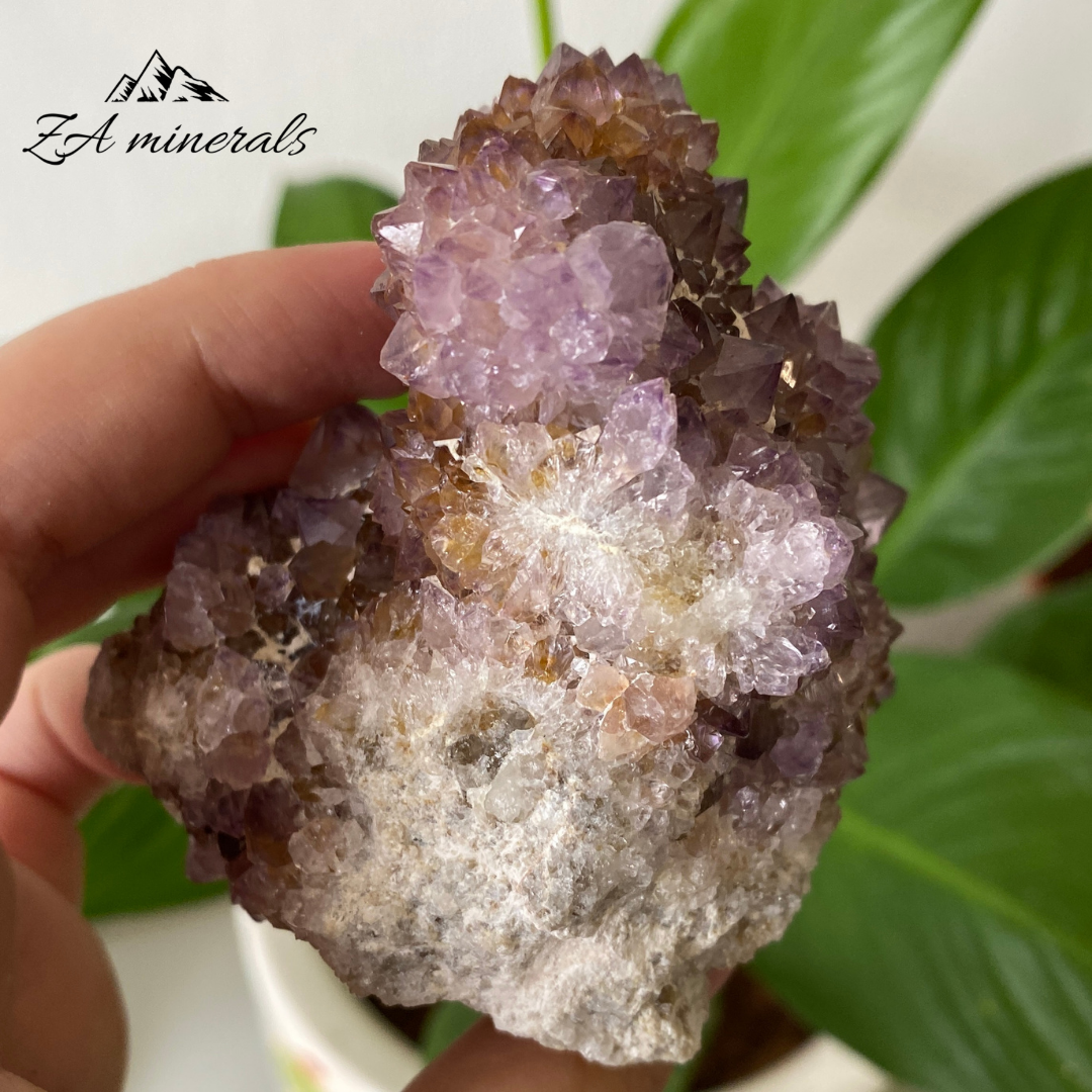 Amethyst Cactus Quartz 270g IC22