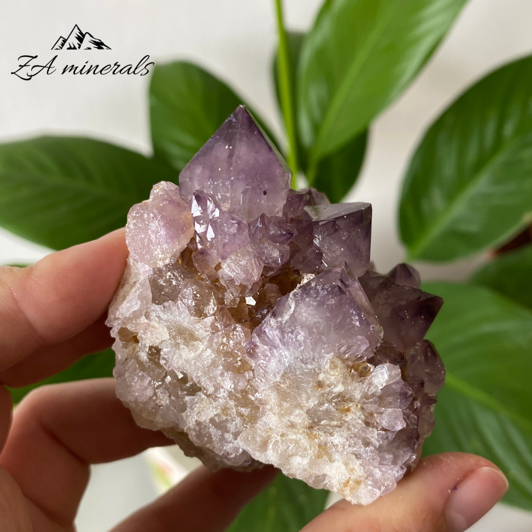 Amethyst Cactus Quartz 173g IC23