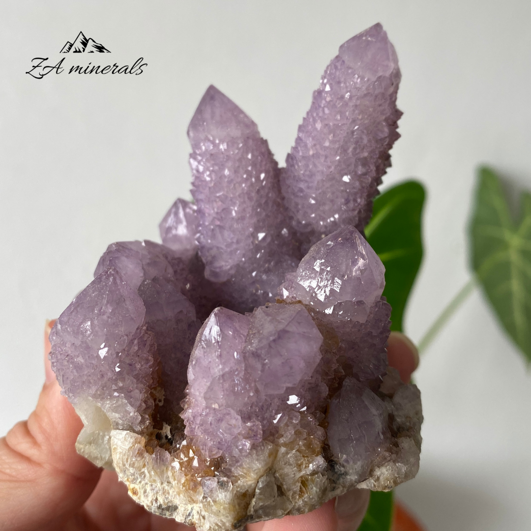 Amethyst Cactus Quartz Cluster 333g HW21